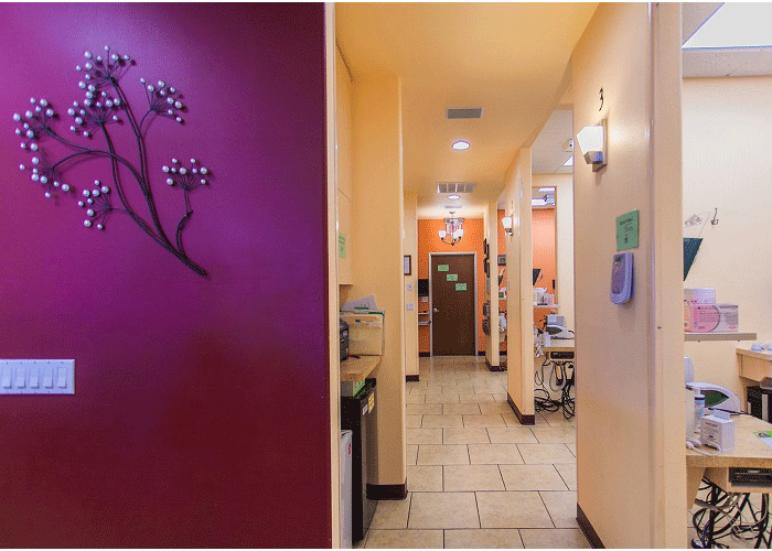 Fremont Dentist Office Hallway Picture